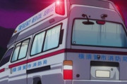 61歳無職男性、妻搬送中の救急車内で突然「はよ行けや！」と暴れ、救急隊員を殴る → 救急車が向かっていた先がｗｗｗｗｗ