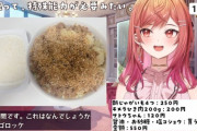 【ホロライブ】りりか社長のバレンタイン料理、無事失敗『原色メシ』『犬のエサ』