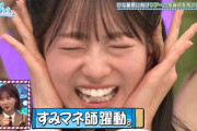 【日向坂46】すみれさん弄りが面白すぎてヤバいｗｗｗｗｗｗｗ