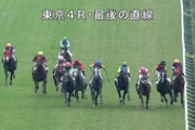 【競馬】今週末からスミヨン騎手が騎乗するけど上手いの？