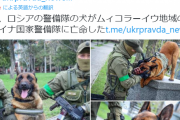 ロシア軍の軍用犬、ウクライナに亡命してしまう