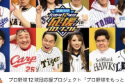 【スカパー公認】12球団を代表するタレントファン