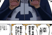 【ワンピース】ニキュニキュの実とかいうかなり無理のある設定の悪魔の実