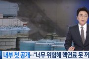 【韓国の反応】「危険すぎて核燃料取り出せない」…日本の福島原発3号機、被ばく限度の150倍↑