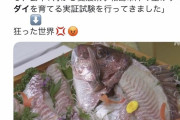 【悲報】「いやあああああ！虫を食べた魚が出荷されるのおおおおおおおおおおお?」