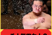 なんJ民「歴史上で一番人気な横綱は稀勢の里！」