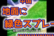 【悲報】中国、耕作地維持を命じられる　⇒　緑色の塗料を地面にかけるｗ （動画あり）