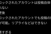 【画像】Twitterさん、ブロック機能が意味不明な変更へｗｗｗ