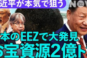 韓国メディア「中国のレアアース規制に日本は粛々と対応してきたのに、韓国はなにひとつ手を出していない。中国依存を高めたままだ！」……だって「痛くても覚えない」んだもん、韓国の産業界……