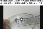 【三重】給食にハエが混入していた小学校、今度は給食に約8ミリのゴキブリが混入