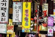 韓国のあの業界、ついに倒産閉店ラッシュ！！！！ 日本でゴリ押しするも失敗に終わるｗｗｗｗｗ