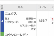 【乃木坂46】ばんえい競馬『乃木坂46大園桃子卒業記念』レース結果に奇跡