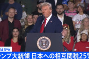 トランプ「日本の関税25%な」日経「そんなの関係ねぇ！」日経平均爆上げ＋円安