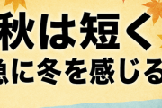 気象庁 3か月予報 “秋は短く 急に冬を感じる” 見通し