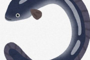 ？？？「ウナギが絶滅危惧かぁ…せや！『食べて応援』」