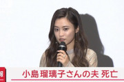 【悲報】小島瑠璃子さんの人生、壮絶過ぎる
