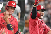 カープ坂倉は8月最強打者！代打陣の起用法が逆転優勝へのカギ