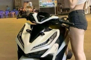 運転免許センターで女性のバイクが暴走、フェンスに激突  [6/9]