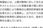 【悲報】オードリー春日さんのラジオ、今夜正念場を迎えるｗｗｗｗｗ
