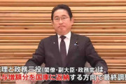 【政府】首相ら給与「増額し自主返納」へ　政府、与野党の凍結論受け