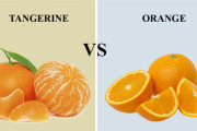 外国人「オレンジvsミカン、1つしか食えないならどっち選ぶ？」
