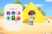 【あつまれどうぶつの森】そういやパスポートの肩書きは何にした？