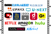 もっとも利用率が高い動画配信サービスランキング！ 1位は驚異の〇〇%！お前ら何使ってる？