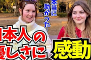 【悲報】日本のネット民、SNS荒らしや誹謗中傷が酷すぎて「実は嫌な奴らなのでは？」とバレる