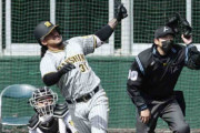 阪神マルテ今季初のラパンパラ「いいタイミングで打てた」左翼へソロ弾、佐藤輝明も続き連発