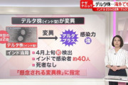 17歳JK「デルタ株はワクチン2回打っても感染確率は変わらない？」重症化率が違う様子❓❓