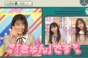 【乃木坂46】こいつら本当に普段からこんなこと言い合ってるのか？ｗｗｗｗｗ
