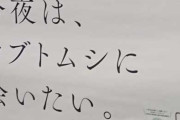 「今夜はカブトムシに会いたい」とだけ書かれたナゾの広告が話題に！いったいなんの宣伝なんだよｗｗｗｗｗｗｗｗ