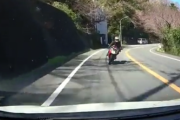 【悲報】バイク乗りの爺さん、カーブを曲がりきれず車と正面衝突してしまう