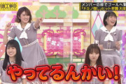 【乃木坂46】ちまに叱られたい.gif