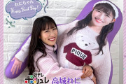 【等身大 抱き枕 公開】11/23(水)放送『日テレポシュレ 高城れに生誕グッズは枕だぞSP』完成までの様子を大公開！