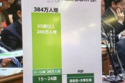 【悲報】ネトサポ「アベノミクスで雇用が増えたぞ！(ﾄﾞﾔｧ)」→ほとんどが学生と老人、非正規でした