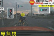「すごい顔で向かってきた」信号無視の“自転車男”　ミラー破壊して逃走…クラクションに激昂か　埼玉・鴻巣市