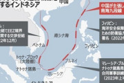 【フィリピンの世論調査】「日本を信頼する　92％」「最大の脅威は中国　79％」