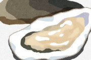 【悲報】ワイ、「牡蠣」の美味しさが理解できない…