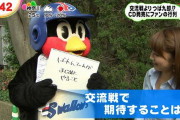 ヤクルト某選手、移籍のバレンティンを不安視「大丈夫なの？」「性格上、どうなのかな」