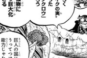 【速報】ワンピース史上最強の悪魔の実「イクイクの実」登場ｗｗｗｗｗｗｗｗ