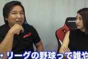 宮本慎也「セの野球は繊細で緻密な野球でパは豪快で雑」里崎智也「...」
