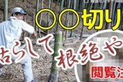 【芸能】竹内結子さんは本当は死ぬ気ではなかったのではないか？　最大の謎　『自死ごっこ』とは？  [palmer★]