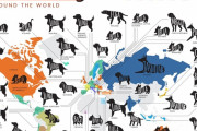 世界各国で最もポピュラーな犬の名前　日本はあの国と同じだった