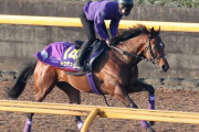 昨年の最優秀2歳牡馬ドウデュース、凱旋門賞へ登録
