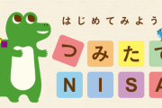 金融庁「３０年間、毎月５万円積立NISAした結果がこちらｗｗｗｗｗｗｗｗｗｗｗ」