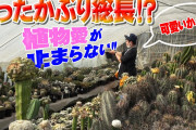 同僚「お前、男で園芸好きとかキモっw」園芸好きワイ「……クソッ……クソッ！」→結果ｗ