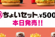 【朗報】マクドナルド、度重なる値上げに配慮し1コインから食べられるセットメニューを発表！！！