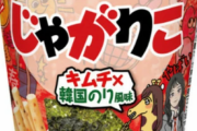 カルビー、現役女子高生と共同開発した「じゃがりこ キムチ×韓国のり風味」発売 [10/3]  [新種のホケモン★]