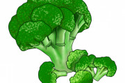 【悲報】『ブロッコリー』ってあってもなくてもいい野菜でワロタｗｗｗｗｗ
